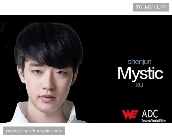 WE战队在世界冠军杯中的个人能力表现深度解析与点评