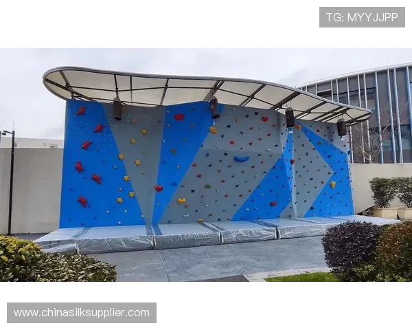 南京攀岩队灵活性分析与提升策略探讨